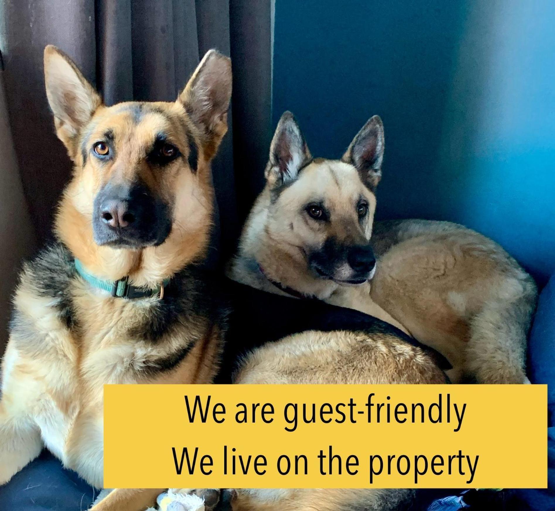 Celtis Lane Guest House Boksburg Luaran gambar
